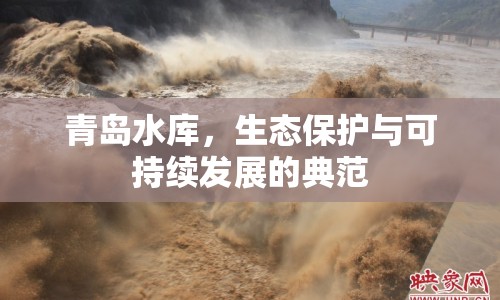 青島水庫，生態(tài)保護(hù)與可持續(xù)發(fā)展的典范