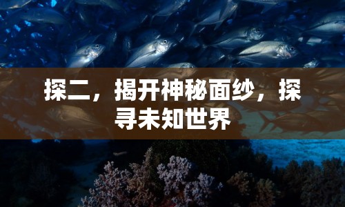 探二，揭開神秘面紗，探尋未知世界