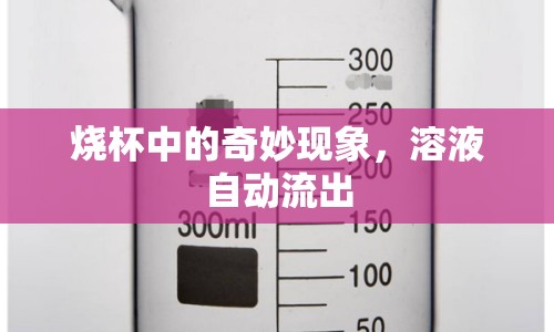 燒杯中的奇妙現(xiàn)象，溶液自動流出