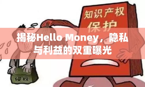 揭秘Hello Money，隱私與利益的雙重曝光