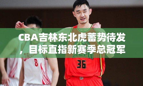CBA吉林東北虎蓄勢(shì)待發(fā)，目標(biāo)直指新賽季總冠軍
