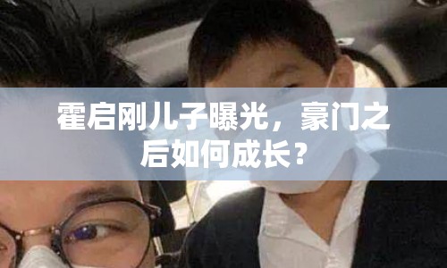 霍啟剛兒子曝光，豪門之后如何成長？