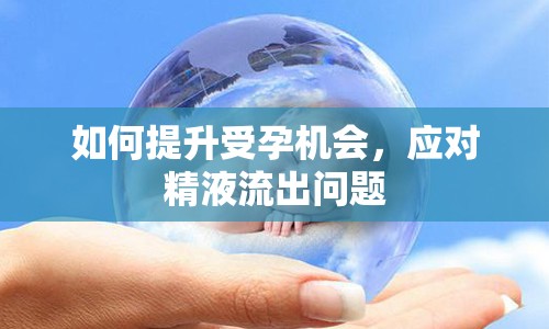 如何提升受孕機(jī)會(huì)，應(yīng)對(duì)精液流出問題