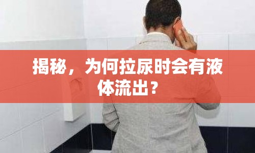 揭秘，為何拉尿時(shí)會(huì)有液體流出？
