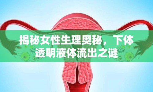 揭秘女性生理奧秘，下體透明液體流出之謎
