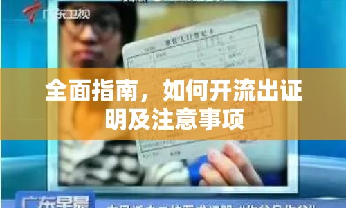 全面指南，如何開流出證明及注意事項