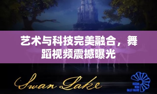 藝術(shù)與科技完美融合，舞蹈視頻震撼曝光