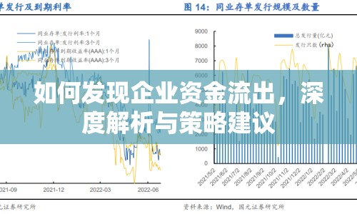 如何發(fā)現(xiàn)企業(yè)資金流出，深度解析與策略建議