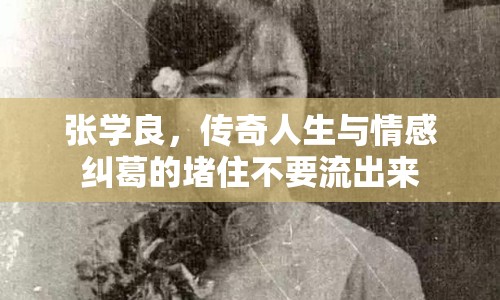 張學(xué)良，傳奇人生與情感糾葛的堵住不要流出來