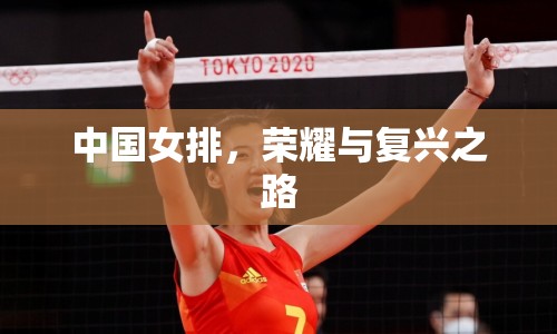 中國女排，榮耀與復(fù)興之路