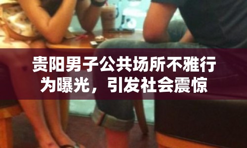 貴陽男子公共場(chǎng)所不雅行為曝光，引發(fā)社會(huì)震驚