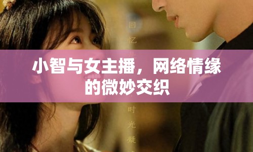 小智與女主播，網(wǎng)絡(luò)情緣的微妙交織