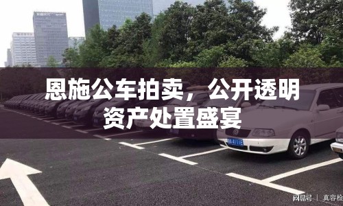 恩施公車拍賣，公開(kāi)透明資產(chǎn)處置盛宴
