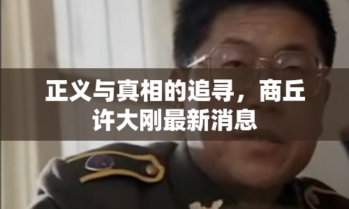 正義與真相的追尋，商丘許大剛最新消息