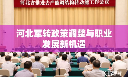 河北軍轉(zhuǎn)政策調(diào)整與職業(yè)發(fā)展新機遇
