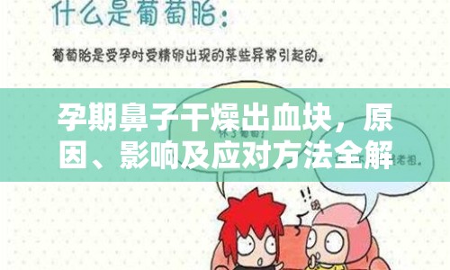 孕期鼻子干燥出血塊，原因、影響及應(yīng)對(duì)方法全解析