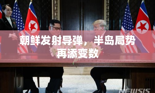 朝鮮發(fā)射導彈，半島局勢再添變數(shù)