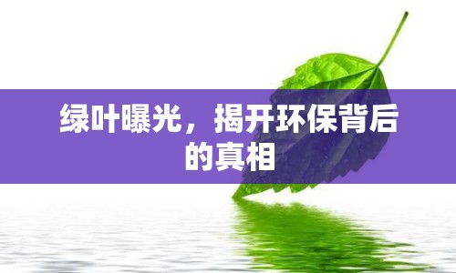 綠葉曝光，揭開環(huán)保背后的真相