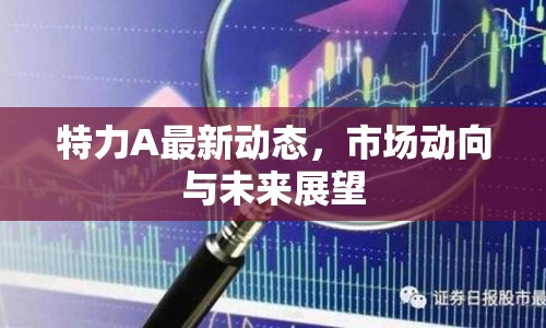 特力A最新動(dòng)態(tài)，市場(chǎng)動(dòng)向與未來展望