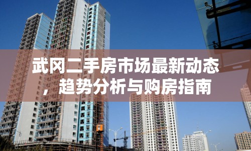 武岡二手房市場最新動態(tài)，趨勢分析與購房指南