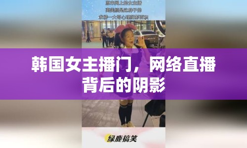 韓國(guó)女主播門，網(wǎng)絡(luò)直播背后的陰影