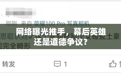 網(wǎng)絡(luò)曝光推手，幕后英雄還是道德?tīng)?zhēng)議？