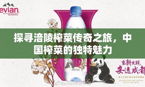探尋涪陵榨菜傳奇之旅，中國榨菜的獨特魅力
