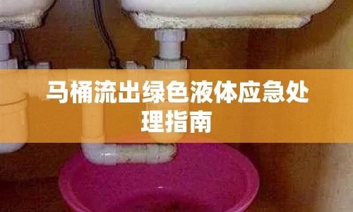 馬桶流出綠色液體應急處理指南