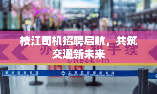 枝江司機(jī)招聘啟航，共筑交通新未來