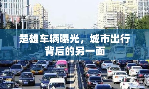 楚雄車輛曝光，城市出行背后的另一面