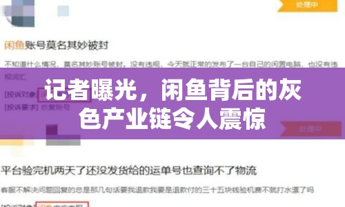 記者曝光，閑魚背后的灰色產(chǎn)業(yè)鏈令人震驚