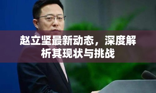 趙立堅最新動態(tài)，深度解析其現(xiàn)狀與挑戰(zhàn)