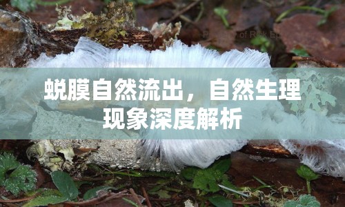 蛻膜自然流出，自然生理現(xiàn)象深度解析