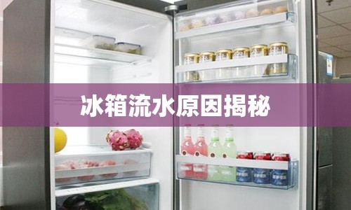 冰箱流水原因揭秘