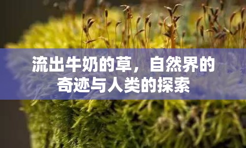 流出牛奶的草，自然界的奇跡與人類的探索