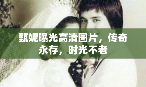 甄妮曝光高清圖片，傳奇永存，時光不老