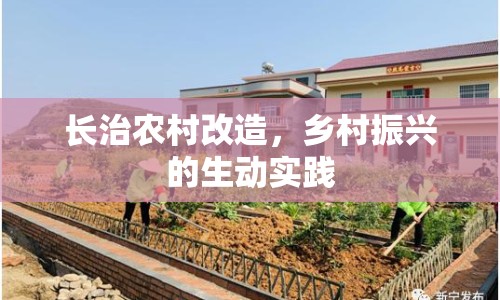 長治農(nóng)村改造，鄉(xiāng)村振興的生動實(shí)踐