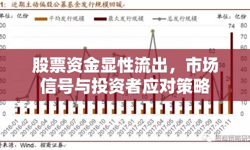 股票資金顯性流出，市場(chǎng)信號(hào)與投資者應(yīng)對(duì)策略