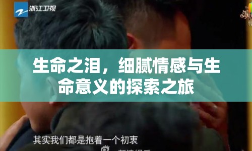 生命之淚，細膩情感與生命意義的探索之旅