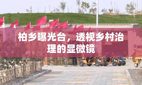 柏鄉(xiāng)曝光臺(tái)，透視鄉(xiāng)村治理的顯微鏡
