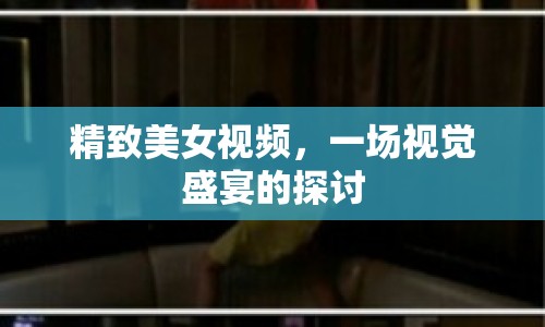 精致美女視頻，一場視覺盛宴的探討
