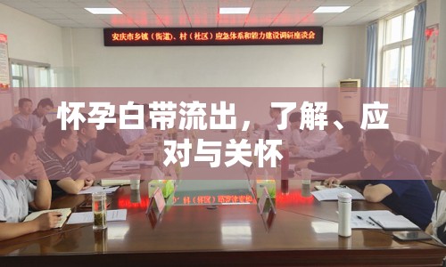 懷孕白帶流出，了解、應對與關懷