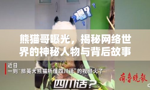 熊貓哥曝光，揭秘網(wǎng)絡(luò)世界的神秘人物與背后故事