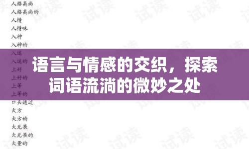 語言與情感的交織，探索詞語流淌的微妙之處