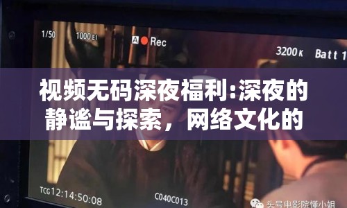 視頻無(wú)碼深夜福利:深夜的靜謐與探索，網(wǎng)絡(luò)文化的獨(dú)特風(fēng)景