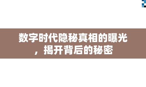 數(shù)字時代隱秘真相的曝光，揭開背后的秘密