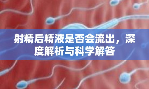 射精后精液是否會(huì)流出，深度解析與科學(xué)解答