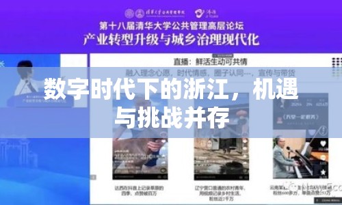 數(shù)字時(shí)代下的浙江，機(jī)遇與挑戰(zhàn)并存