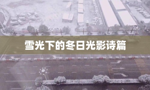 雪光下的冬日光影詩篇