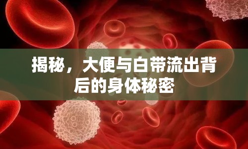揭秘，大便與白帶流出背后的身體秘密